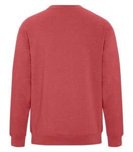 Earth Red