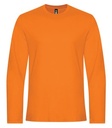 Orange Burst