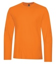 Orange Burst