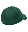 Flag Dark Green