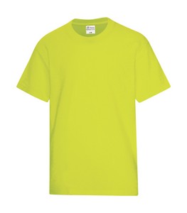 Safety Green