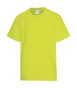 Safety Green