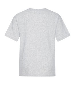 Ash Grey*