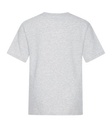 Ash Grey*