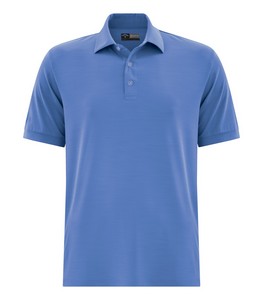 Palace Blue