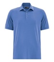Palace Blue