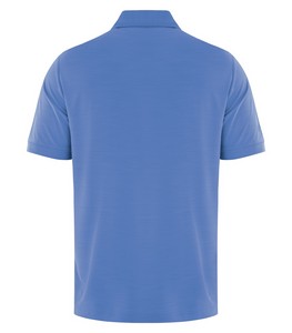 Palace Blue