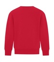 NEW Red