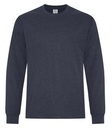 Earth Navy