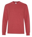 Earth Red