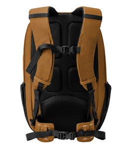 Carhartt Brown