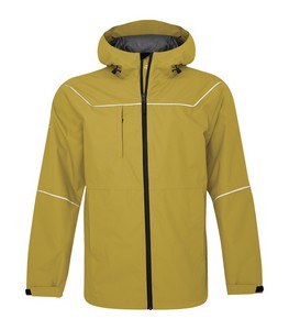 Goldenrod Yellow