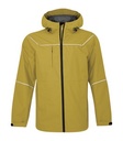 Goldenrod Yellow