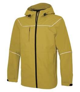 Goldenrod Yellow