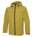 Goldenrod Yellow