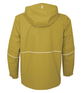 Goldenrod Yellow