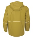 Goldenrod Yellow