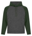 Charcoal Dynamic/Forest Green
