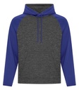 Charcoal Dynamic/True Royal