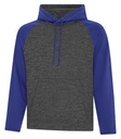 Charcoal Dynamic/True Royal