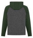 Charcoal Dynamic/Forest Green