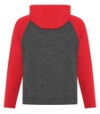 Charcoal Dynamic/True Red