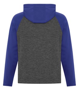 Charcoal Dynamic/True Royal
