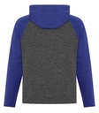 Charcoal Dynamic/True Royal