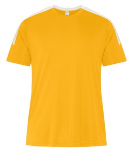 Gold/White