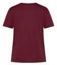 Maroon/White