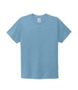 Arctic Blue