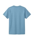 Arctic Blue