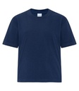 True Navy
