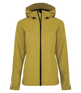 Goldenrod Yellow