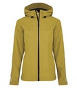 Goldenrod Yellow