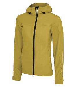 Goldenrod Yellow