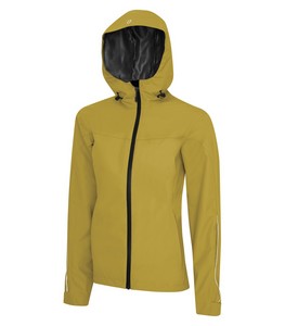 Goldenrod Yellow