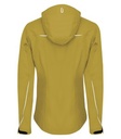 Goldenrod Yellow
