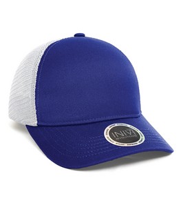 Royal/White