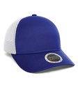 Royal/White