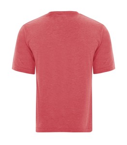 Red Triblend