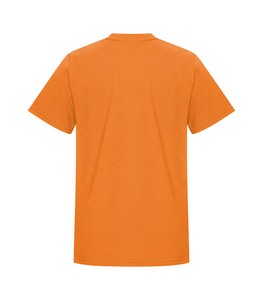 Orange Burst