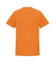 Orange Burst