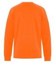 Safety Orange*