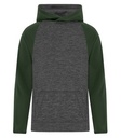 Charcoal Dynamic/Forest Green