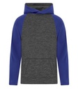 Charcoal Dynamic/True Royal
