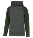 Charcoal Dynamic/Forest Green