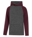 Charcoal Dynamic/Maroon