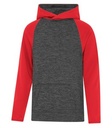 Charcoal Dynamic/True Red