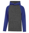 Charcoal Dynamic/True Royal